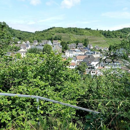 Relaxen Im Weindorf Mayschoss Fewo 1 Dış mekan fotoğraf